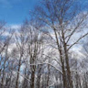 Meet your Posher, Siya